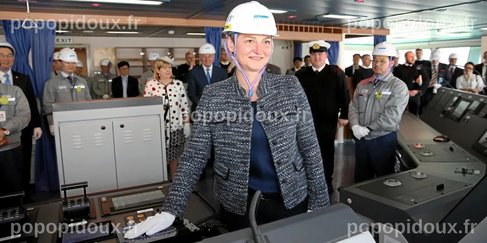 BP and Maersk Tankers say biofuel test proves 'drop-in' viability ...
