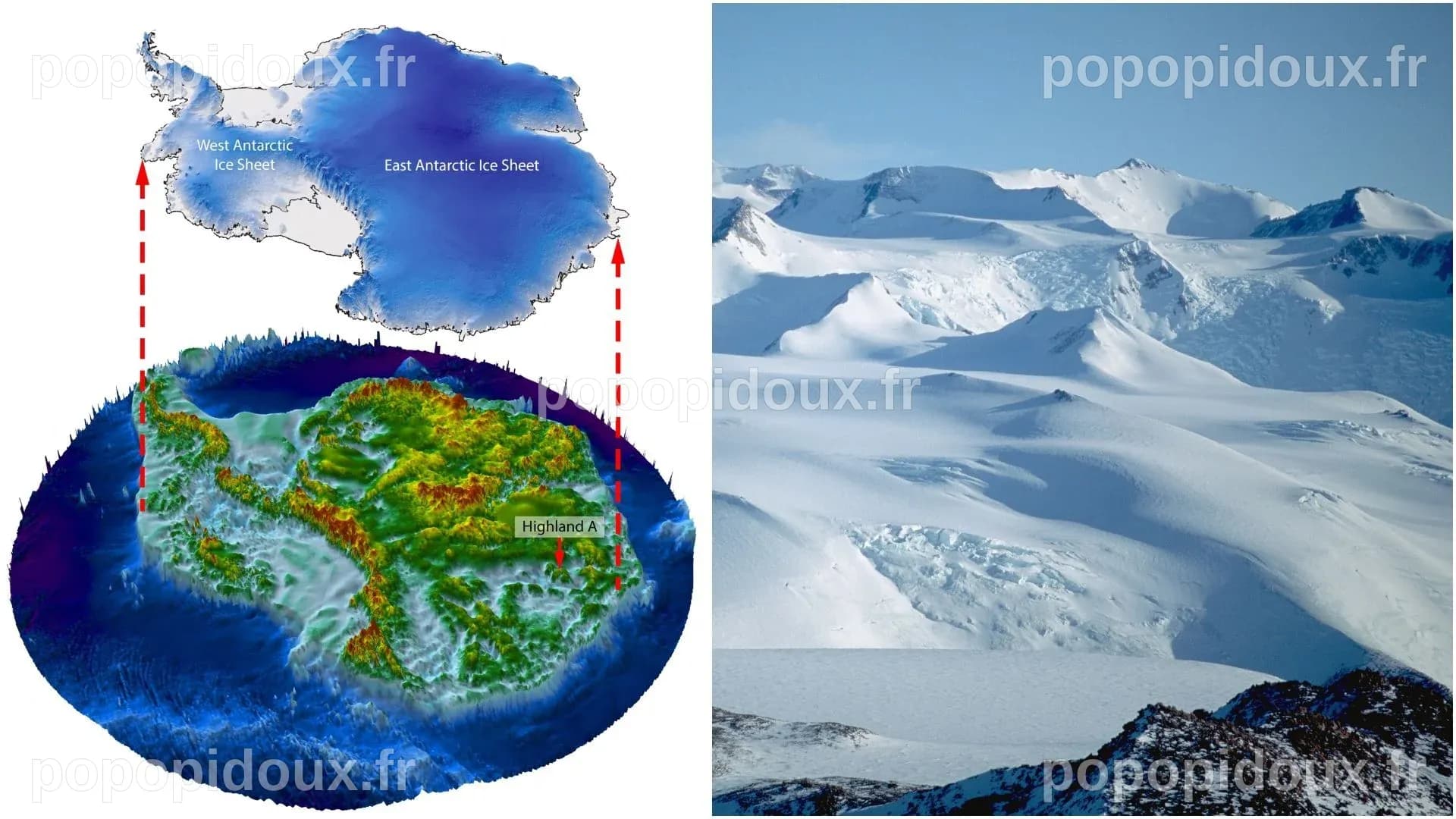 Découverte exceptionnelle : des microbes antarctiques inédits cartographiés par la science