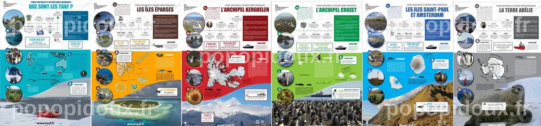 LES TAAF PROPOSENT AUX ENSEIGNANTS DE L’ACADÉMIE DE LA RÉUNION UN KIT ...