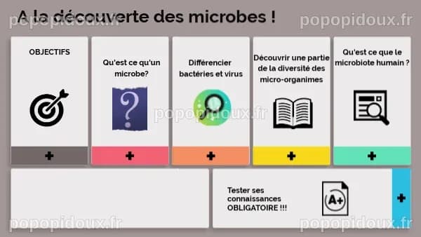 découverte des microbes