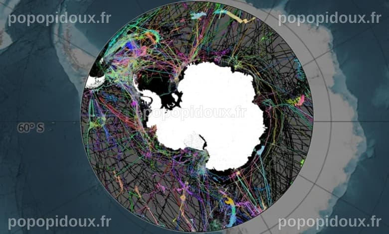 « Factorian Deep », Le Nouveau Point Le Plus Profond De L’océan Austral ...