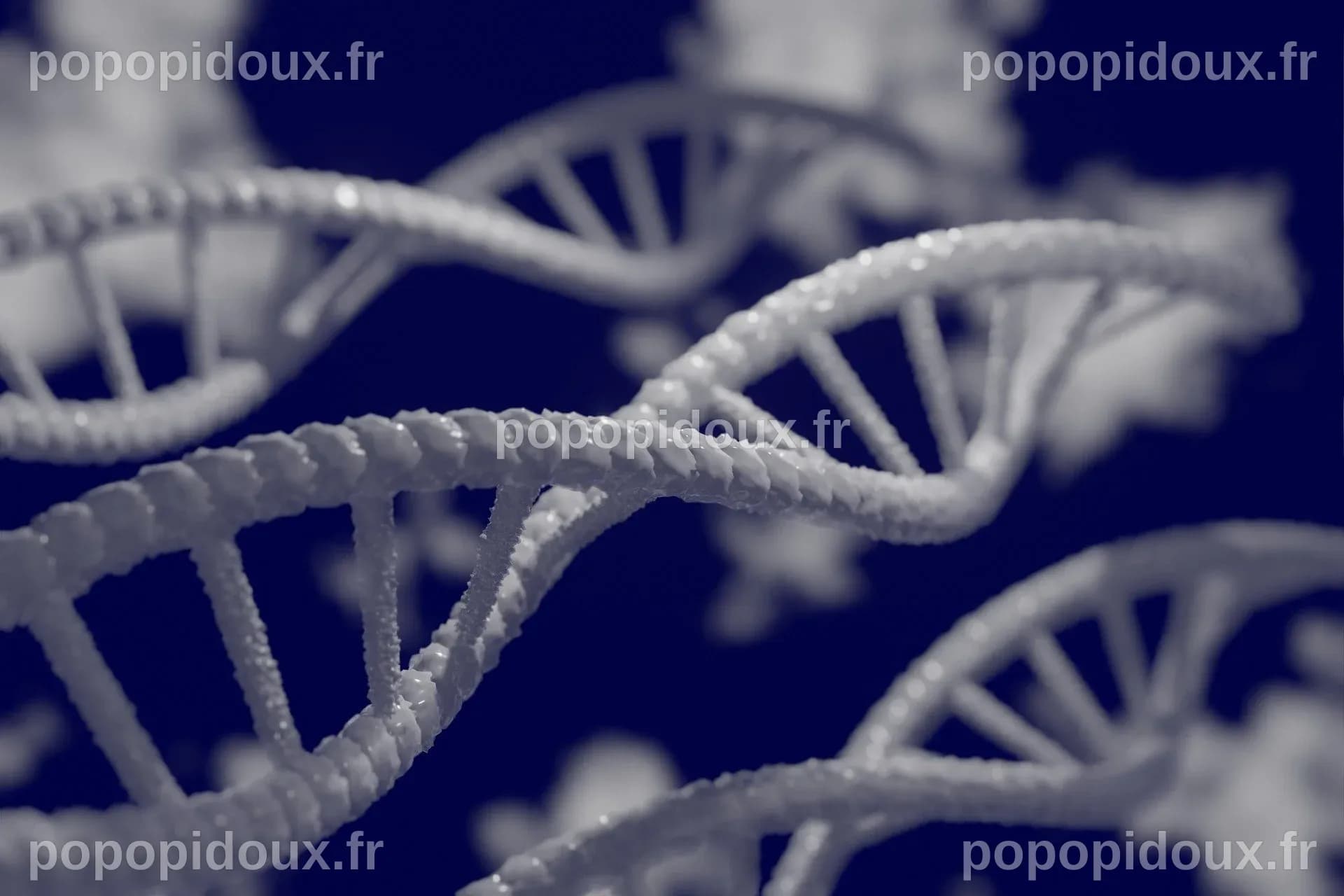 Deux méthodes principales de découverte de gènes révèlent des aspects ...