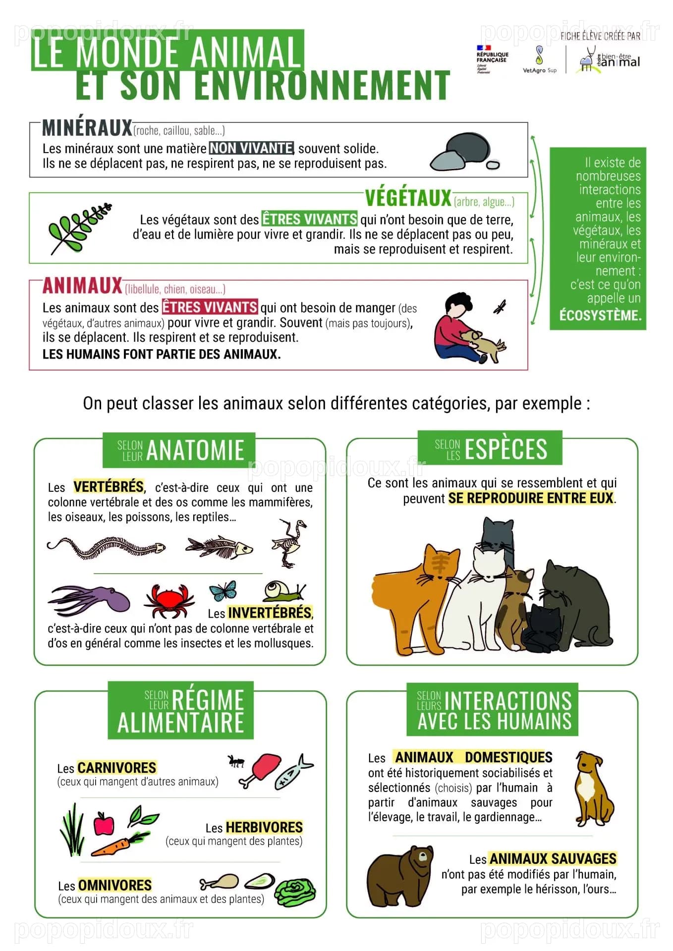 Infographies - Le bien-être animal expliqué aux enfants - Chaire bien ...