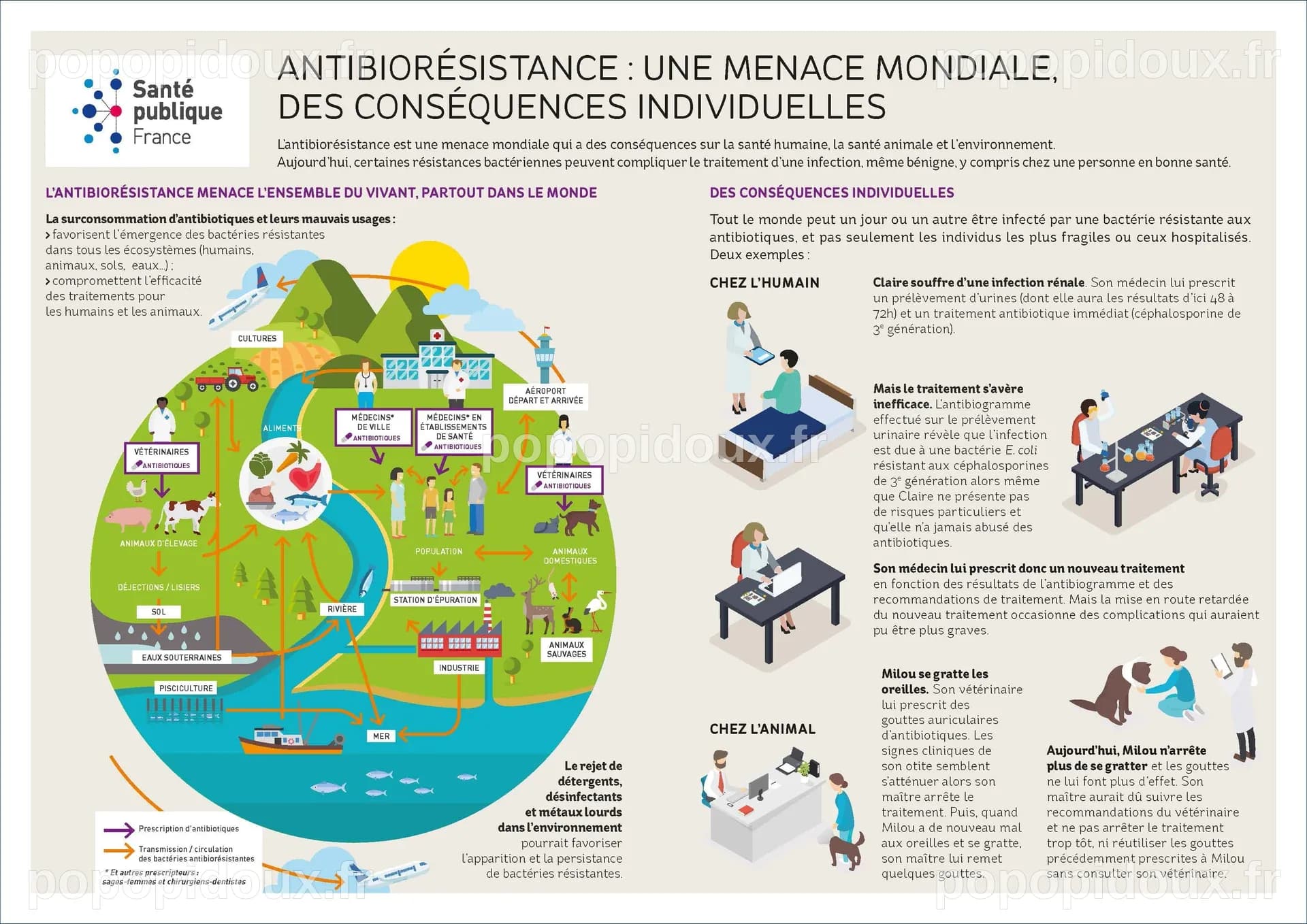 Epidémies, Virus, Antibiorésistance et Pollution : Notre Santé, un Enjeu Animal et Planétaire