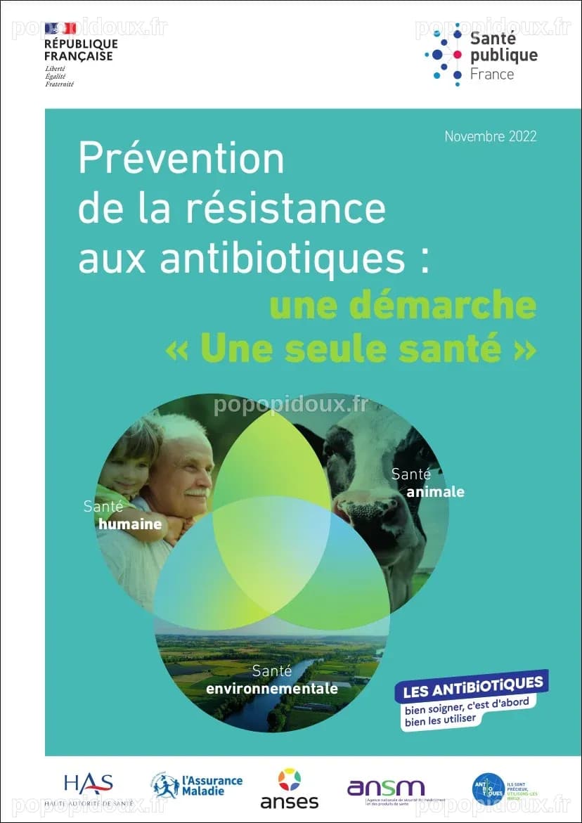 Quels Sont Les Dangers De La Résistance Aux Antibiotiques – VBHV