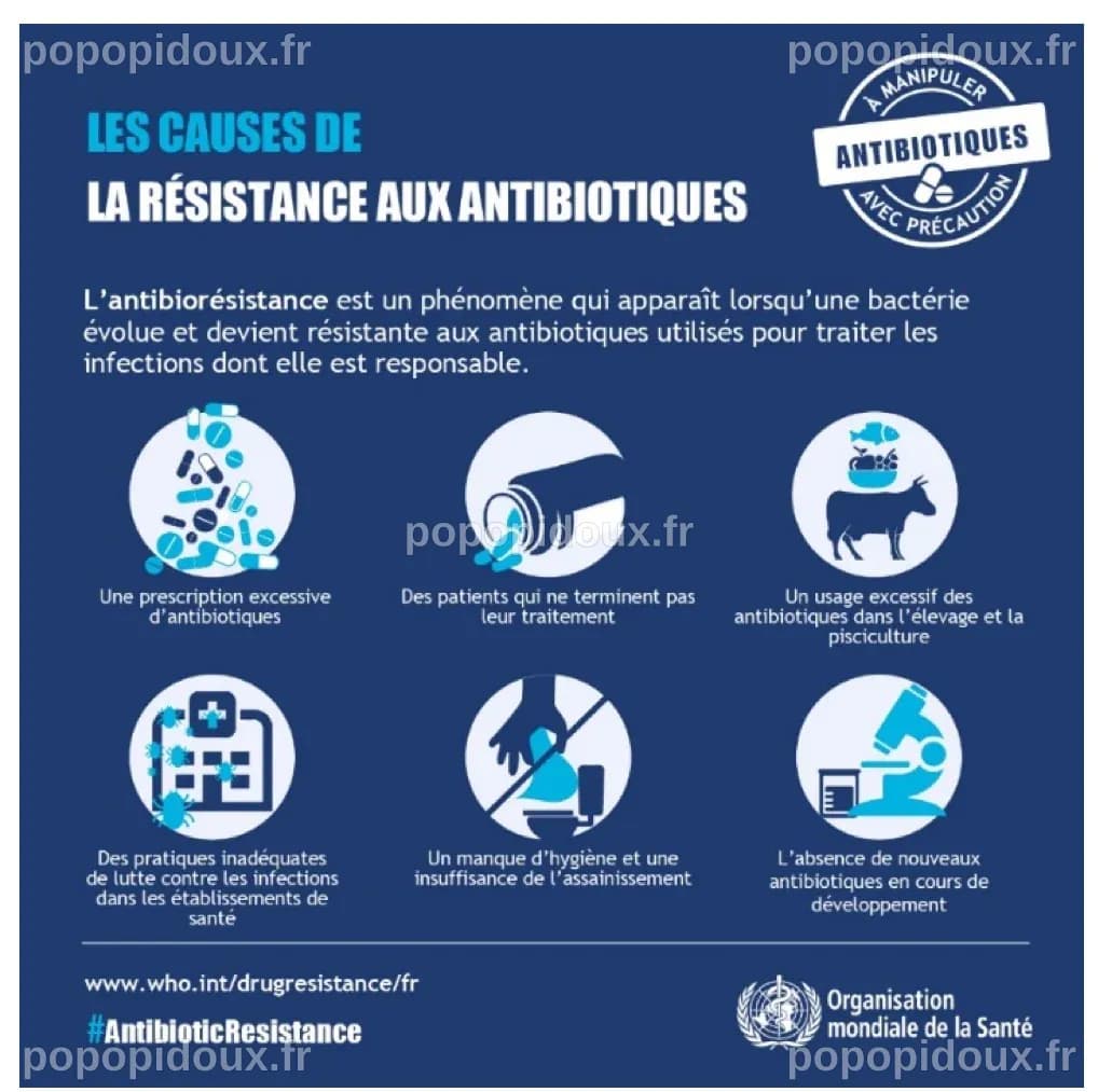 La résistance aux antibiotiques et le risque de transmission à partir ...