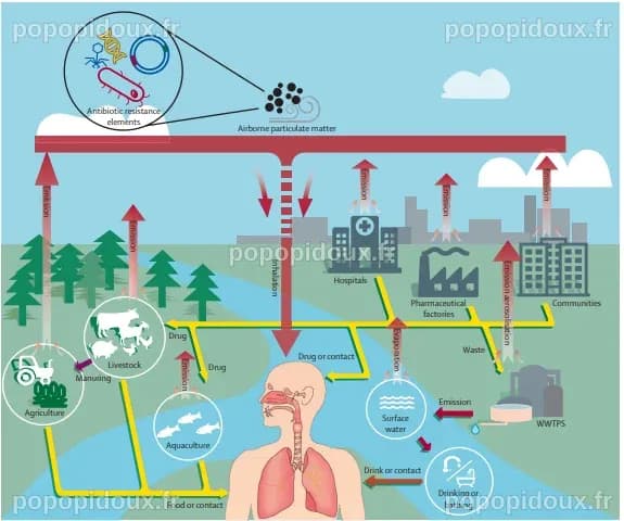 Les brèves de l'ASEF | Association Santé Environnement France