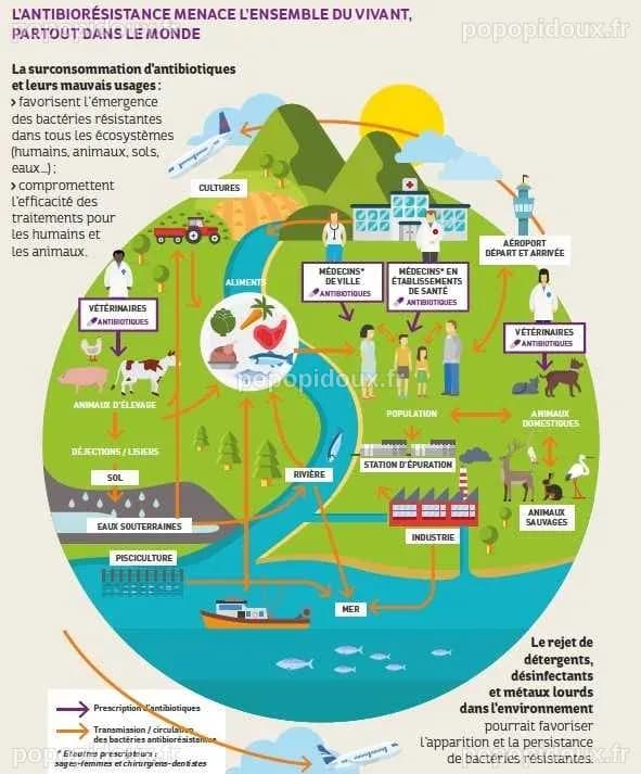 One health - Cpias Océan Indien