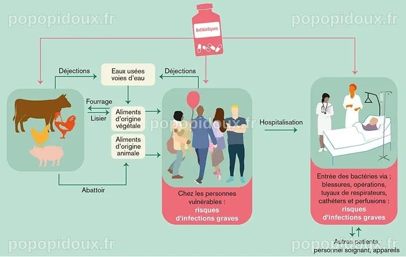 Résistance aux antibiotiques · Inserm, La science pour la santé