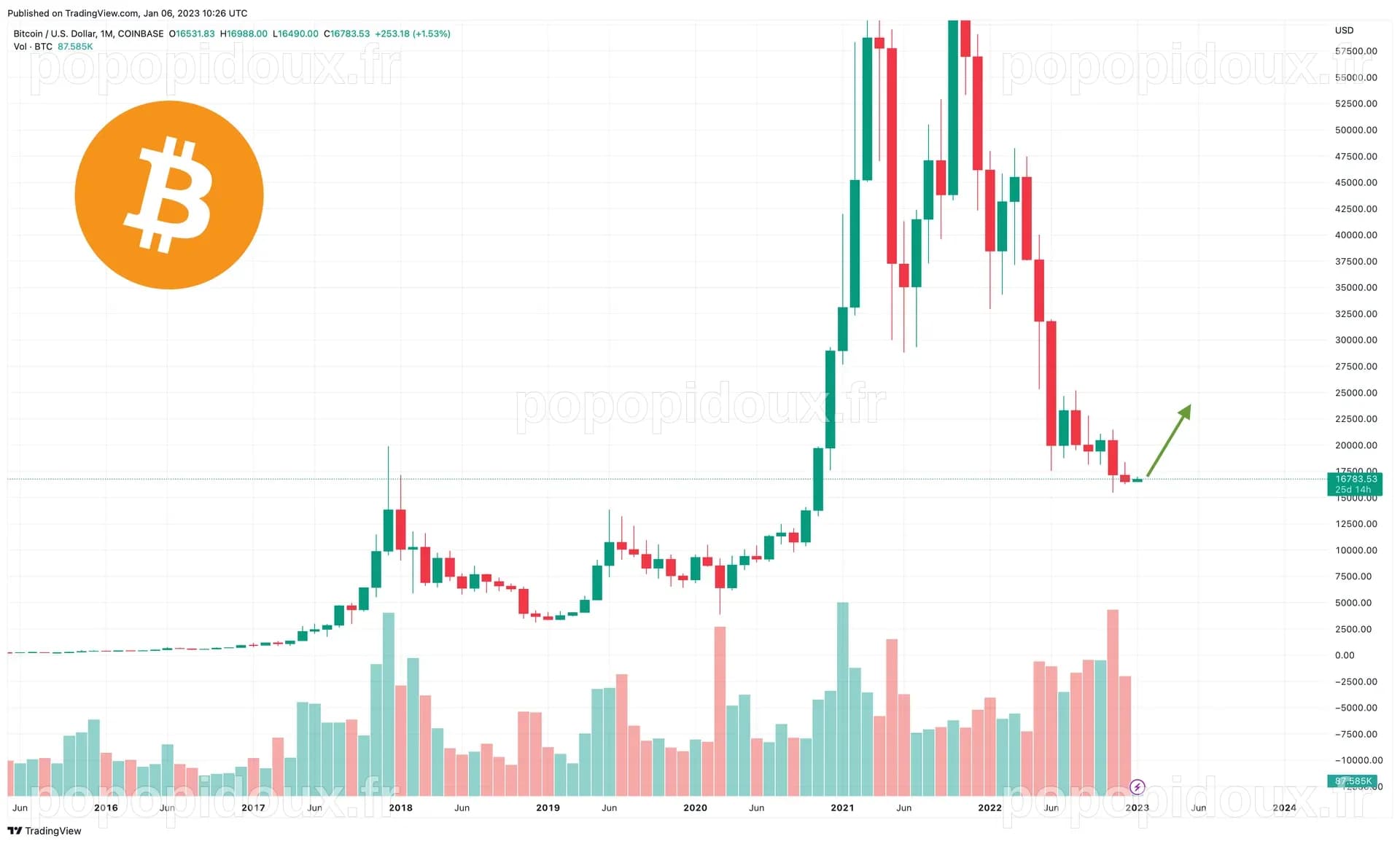 Bitcoin 2023'te Nasıl Performans Gösterecek? - Cryptonews