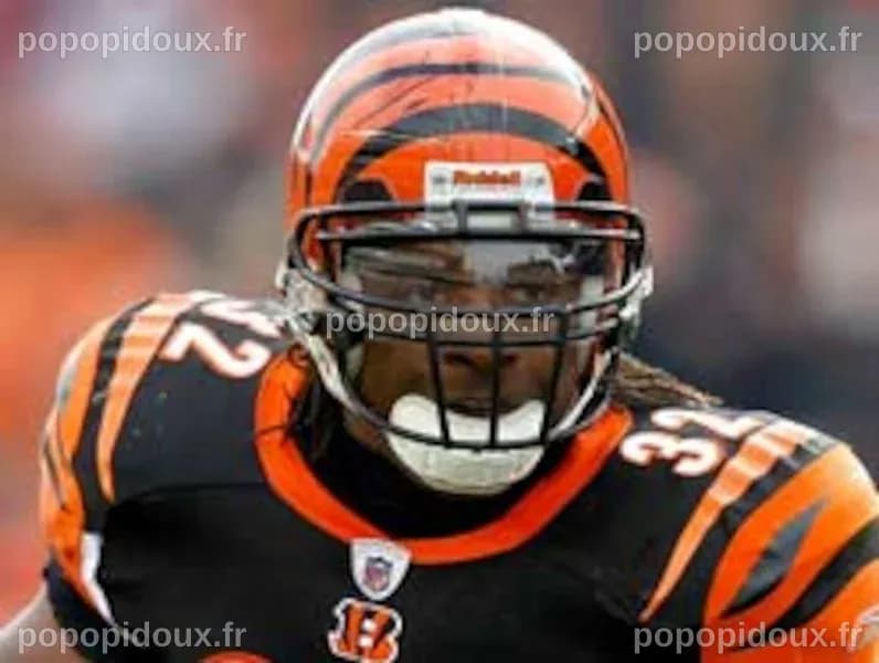 Enfin une victoire pour les Bengals | Le Journal de Montréal