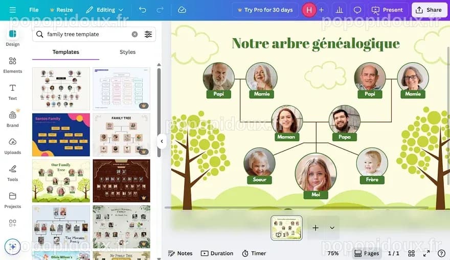 Comment faire un arbre généalogique – guide et exemples