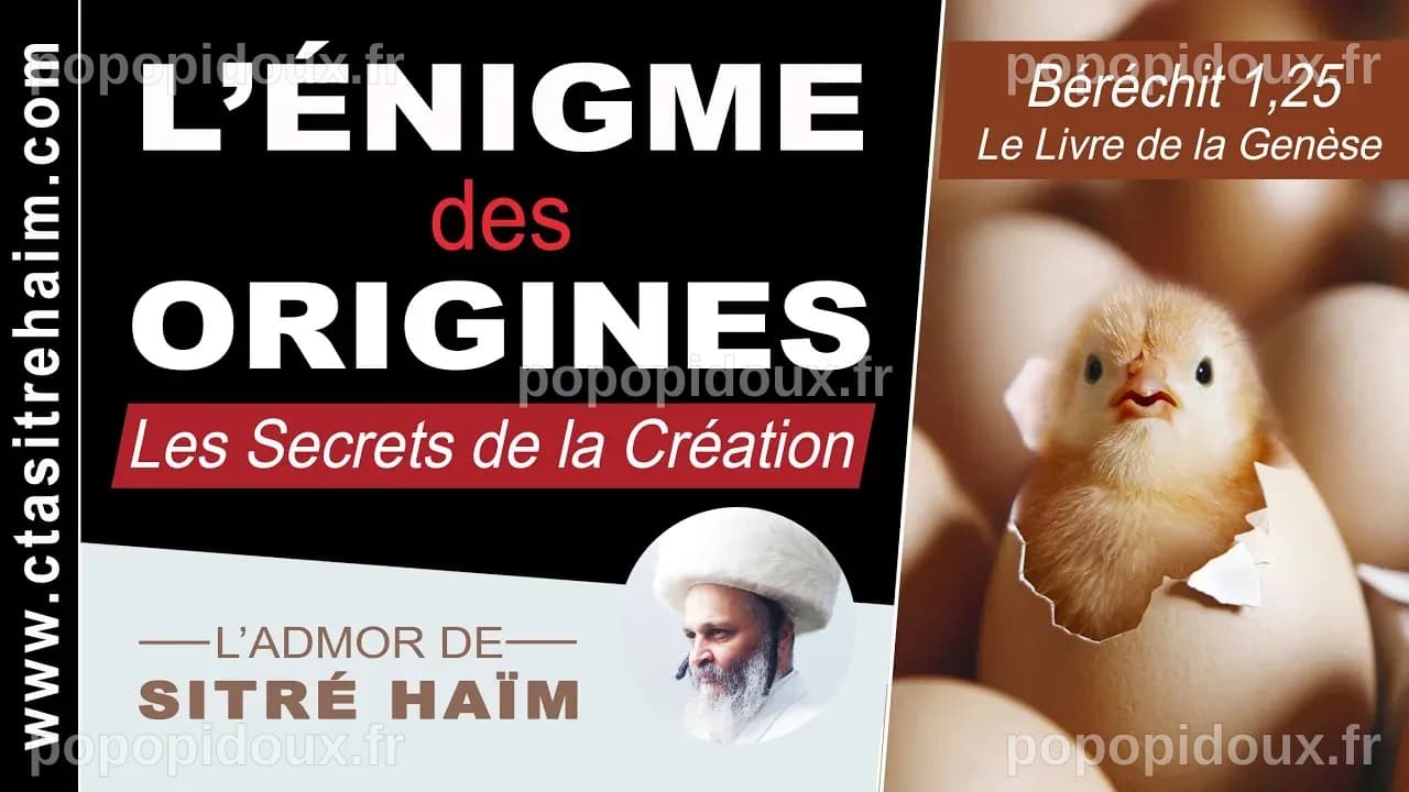 L'énigme de l'œuf et de la poule enfin résolue par la science !