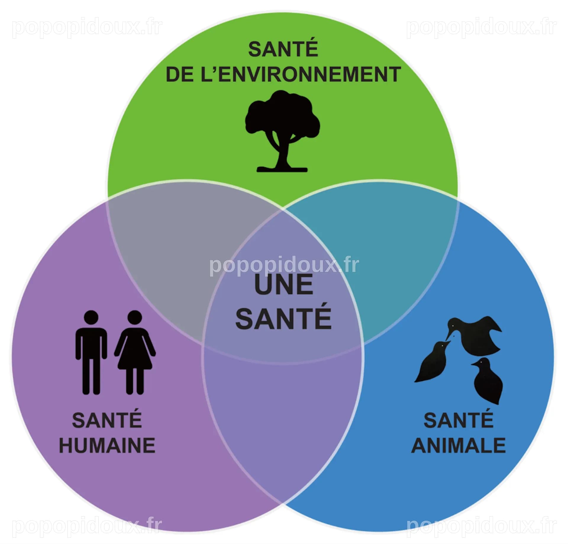 Le concept « One Health » doit s’imposer pour permettre l’anticipation ...