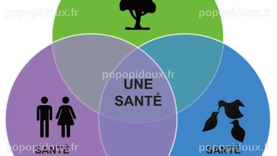 La France relance les enjeux sanitaires oubliés lors du sommet « One Health »