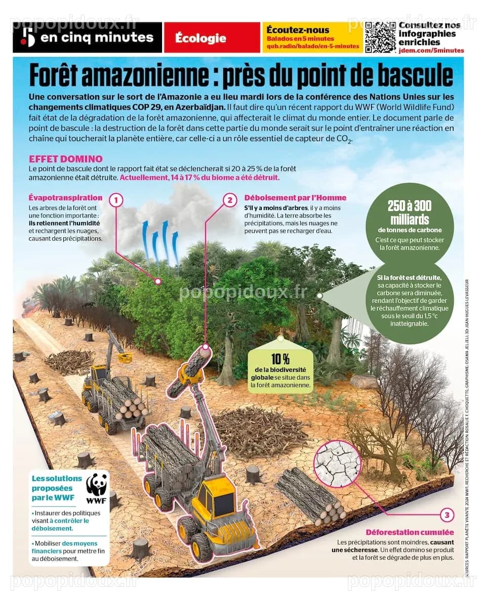 Déforestation: les conséquences sur la forêt amazonienne (et le monde ...