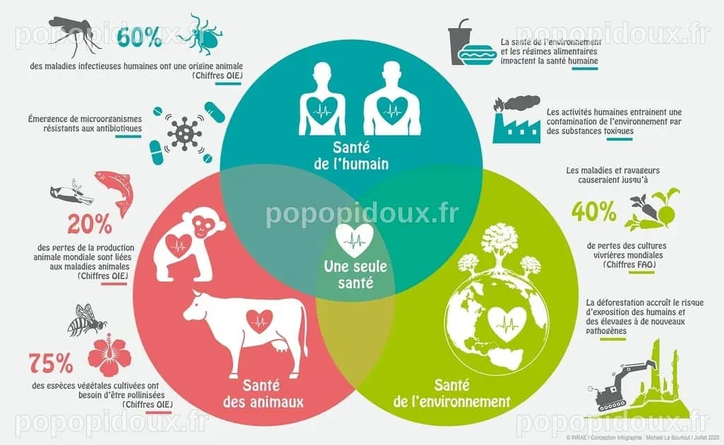 Lyon : Un Village des Découvertes pour une approche « One Health » au service du grand public
