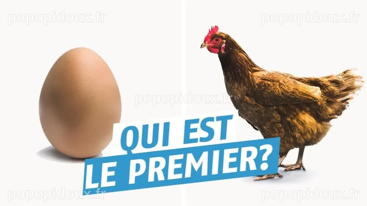 Qui de l'œuf ou de la poule est vraiment apparu en premier ? La science apporte enfin une réponse définitive