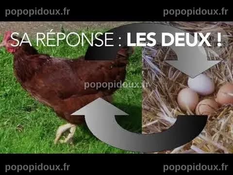 L’œuf ou la poule, qui est venu en premier ? Les deux, répond la ...