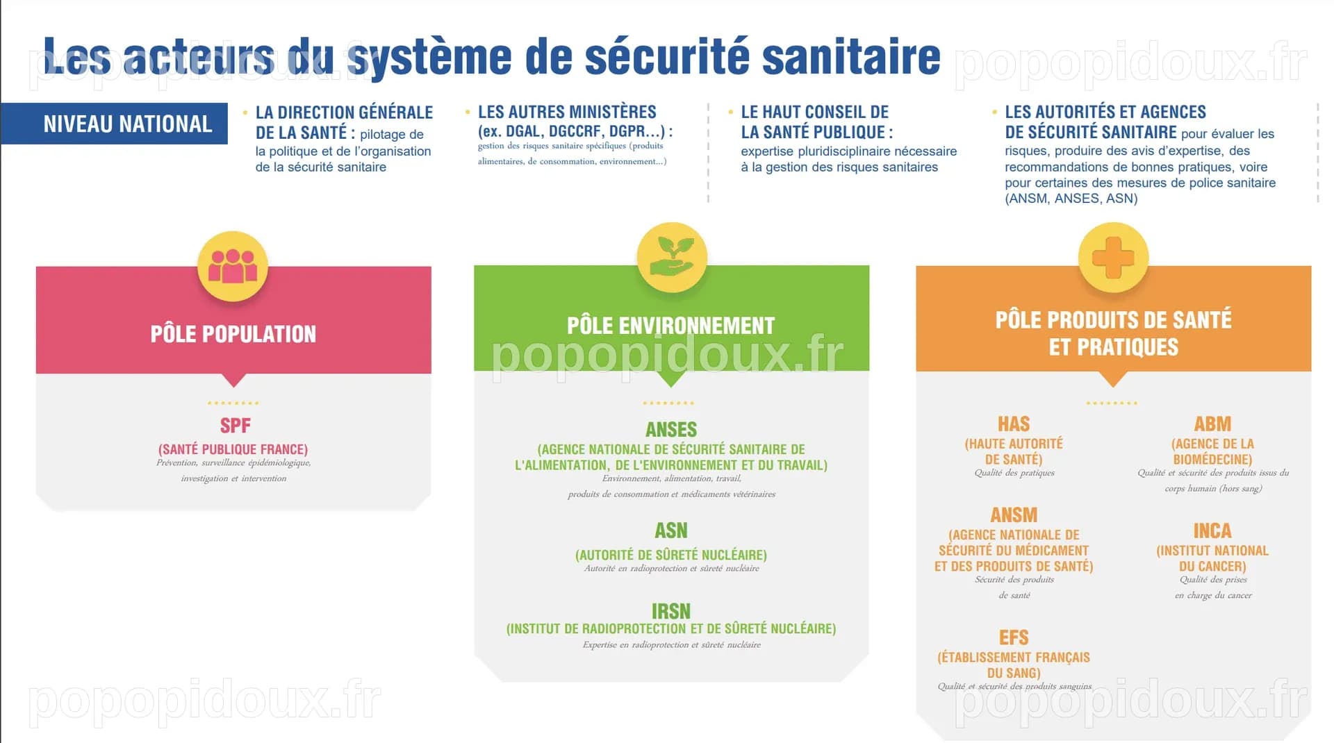 Relancer les Risques Sanitaires : La France Prend l'Initiative au Sommet International