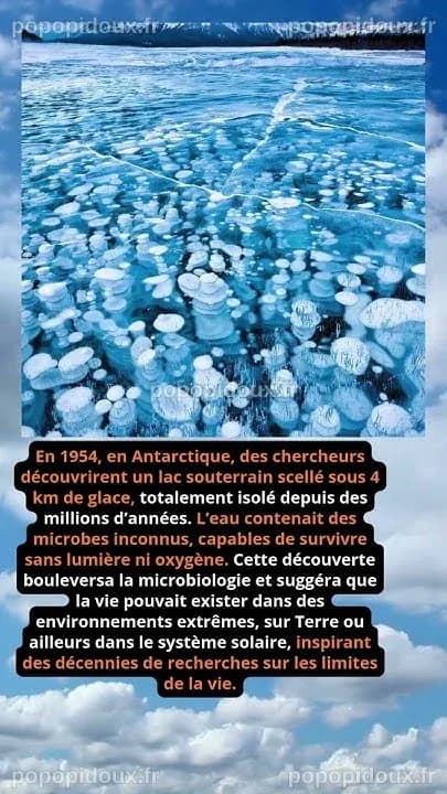 Révélation : Des microbes antarctiques inconnus jusqu'ici cartographiés