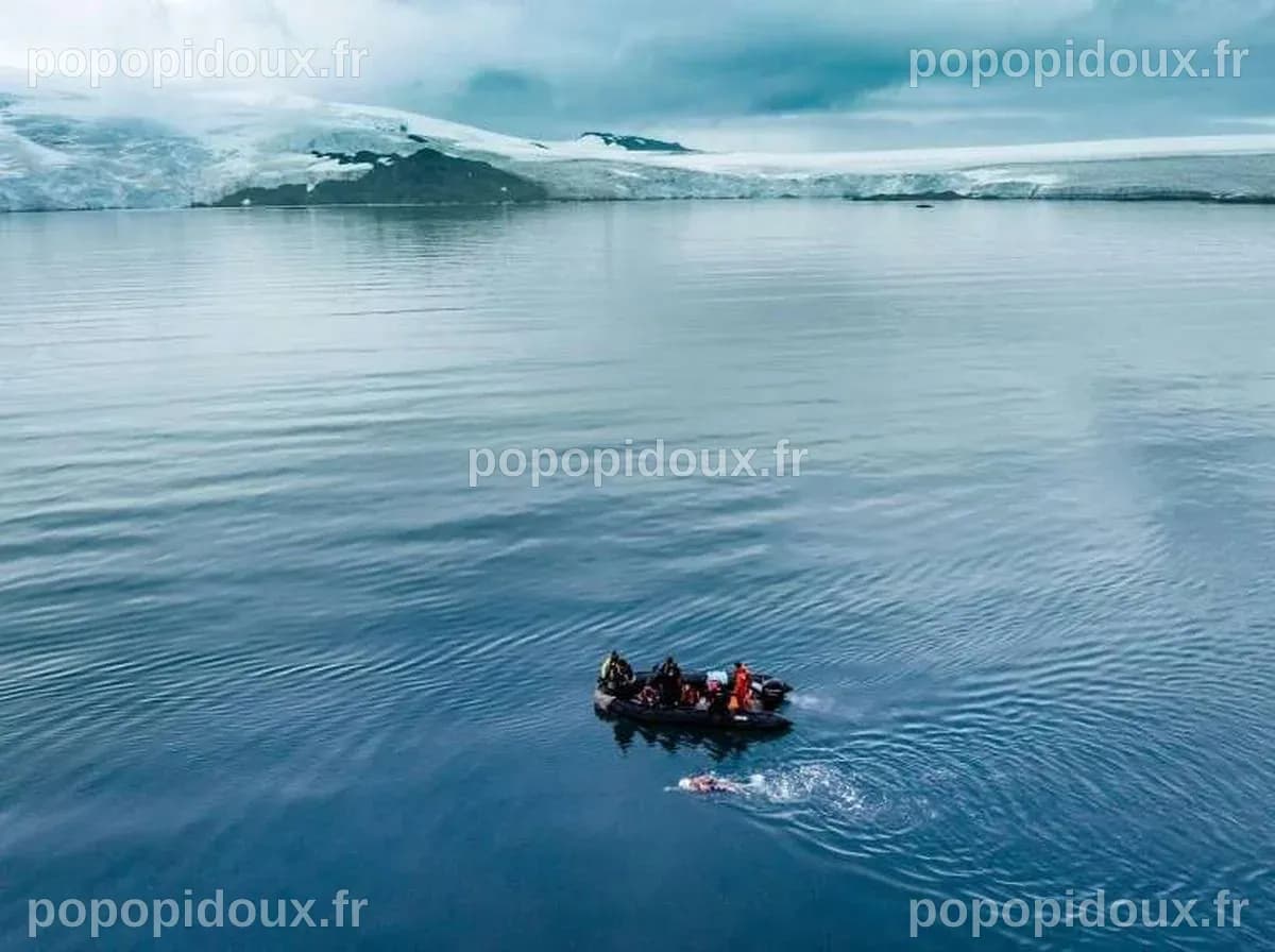 Révélation : Des microbes inconnus de l'Antarctique cartographiés pour la première fois