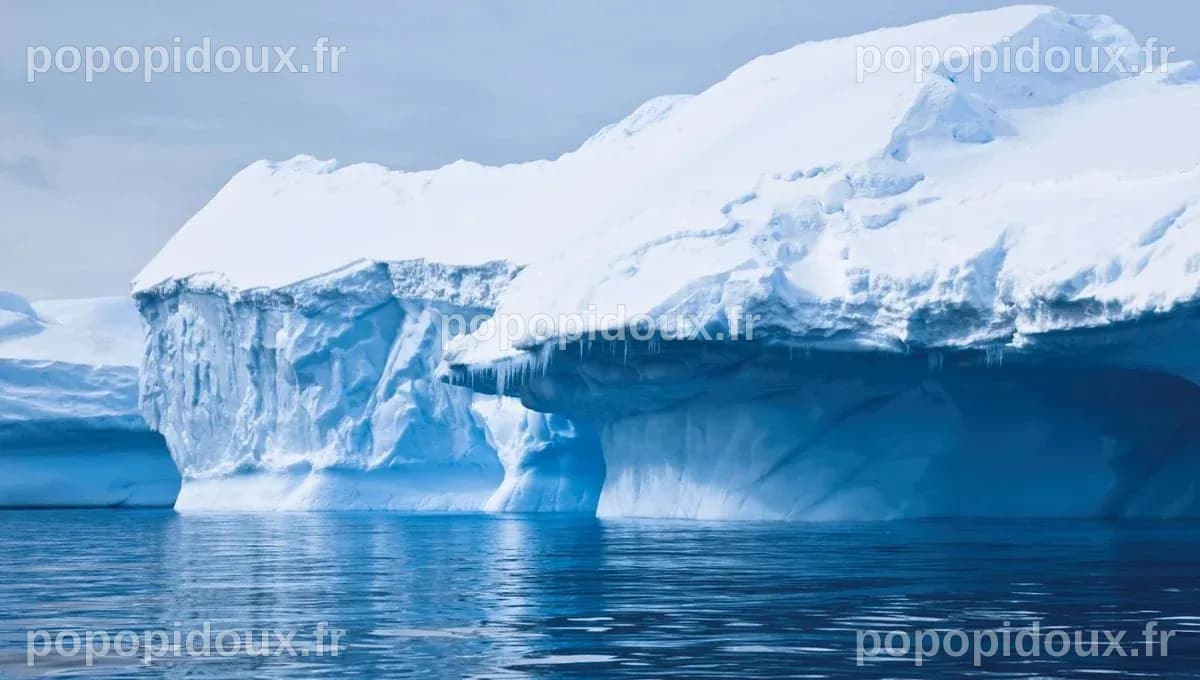 Barrières de glace : les gardiennes de l'Antarctique | France Culture