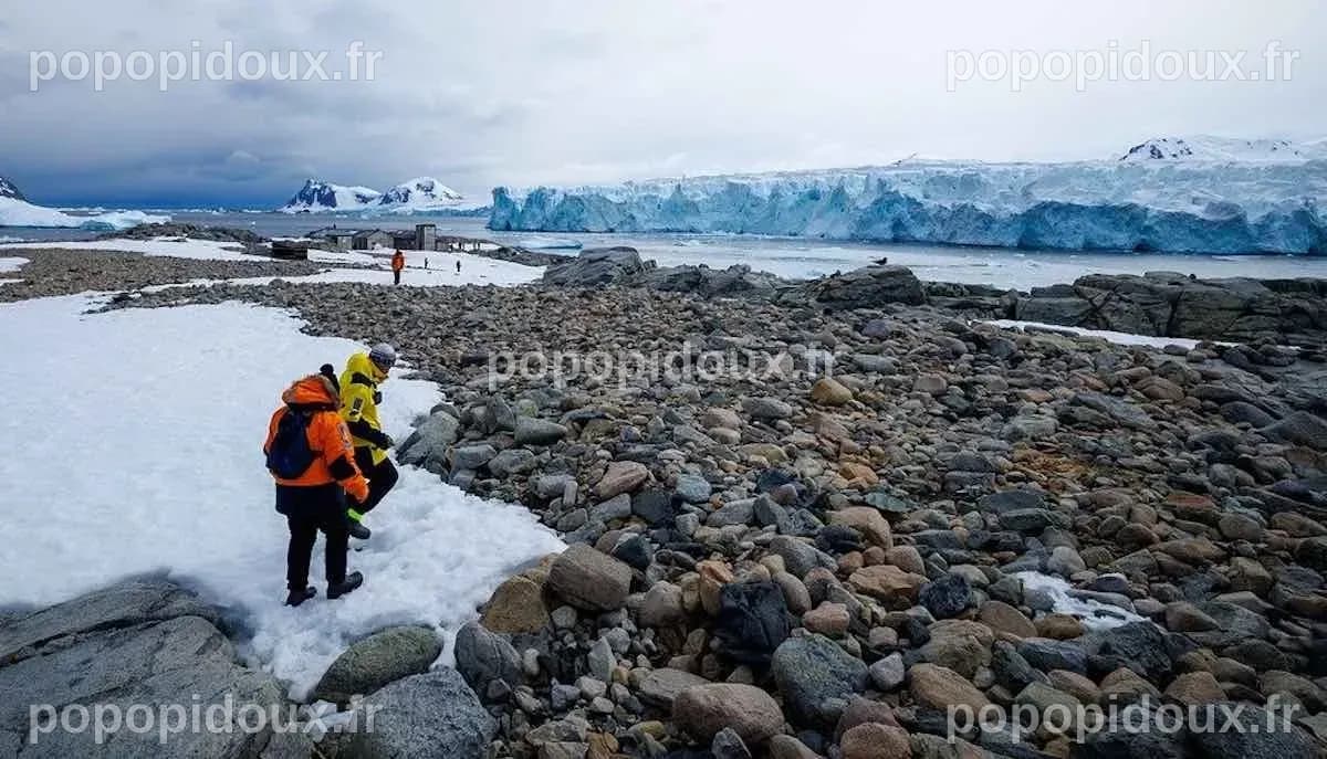 Révélations fascinantes : des microbes inconnus de l'Antarctique enfin cartographiés