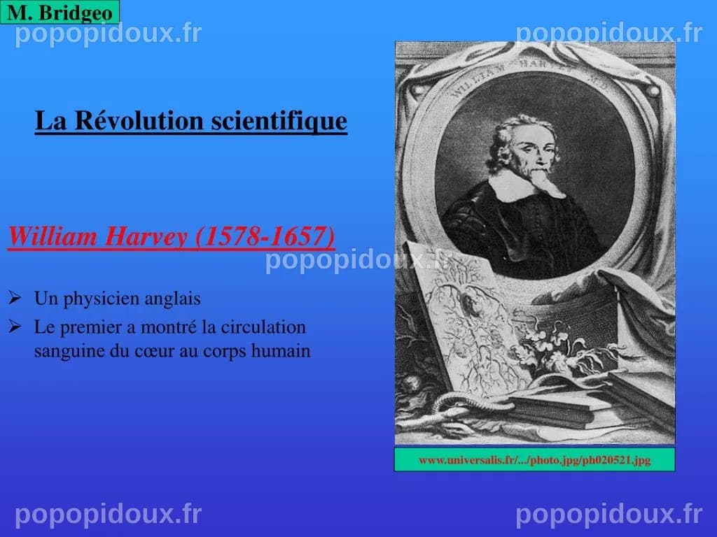 PPT - La Révolution scientifique PowerPoint Presentation, free download ...