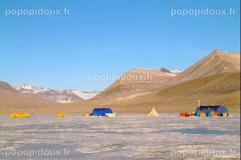 Révolution scientifique : des microbes inconnus de l'Antarctique dévoilent leurs secrets