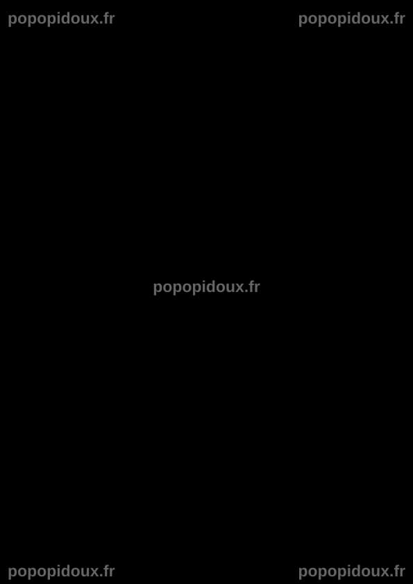 (PDF) La Révolution scientifique