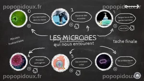 Les microbes qui nous entourent