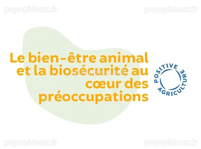 Le bien-être animal et la biosécurité au cœur des préoccupations | Cavac