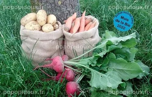 Mois de la Bio : Maraichage bio et local - un enjeu commun pour notre ...