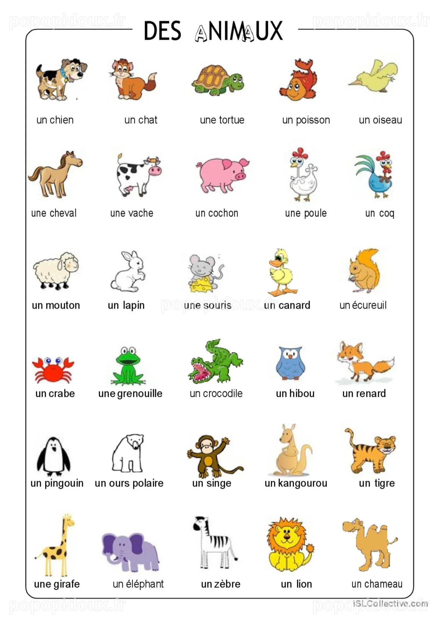 Les Animaux Sont – Le Bruit Du Chien – UMMLR