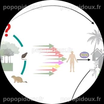 Santé mondiale : Les enjeux des épidémies, des virus et de la pollution à l'ère de l'Une seule santé