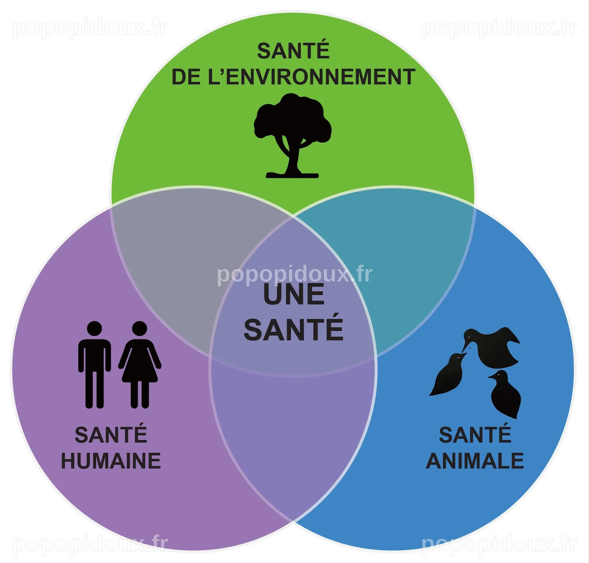 Santé mondiale : Les enjeux interconnectés des épidémies, des virus et de l'environnement
