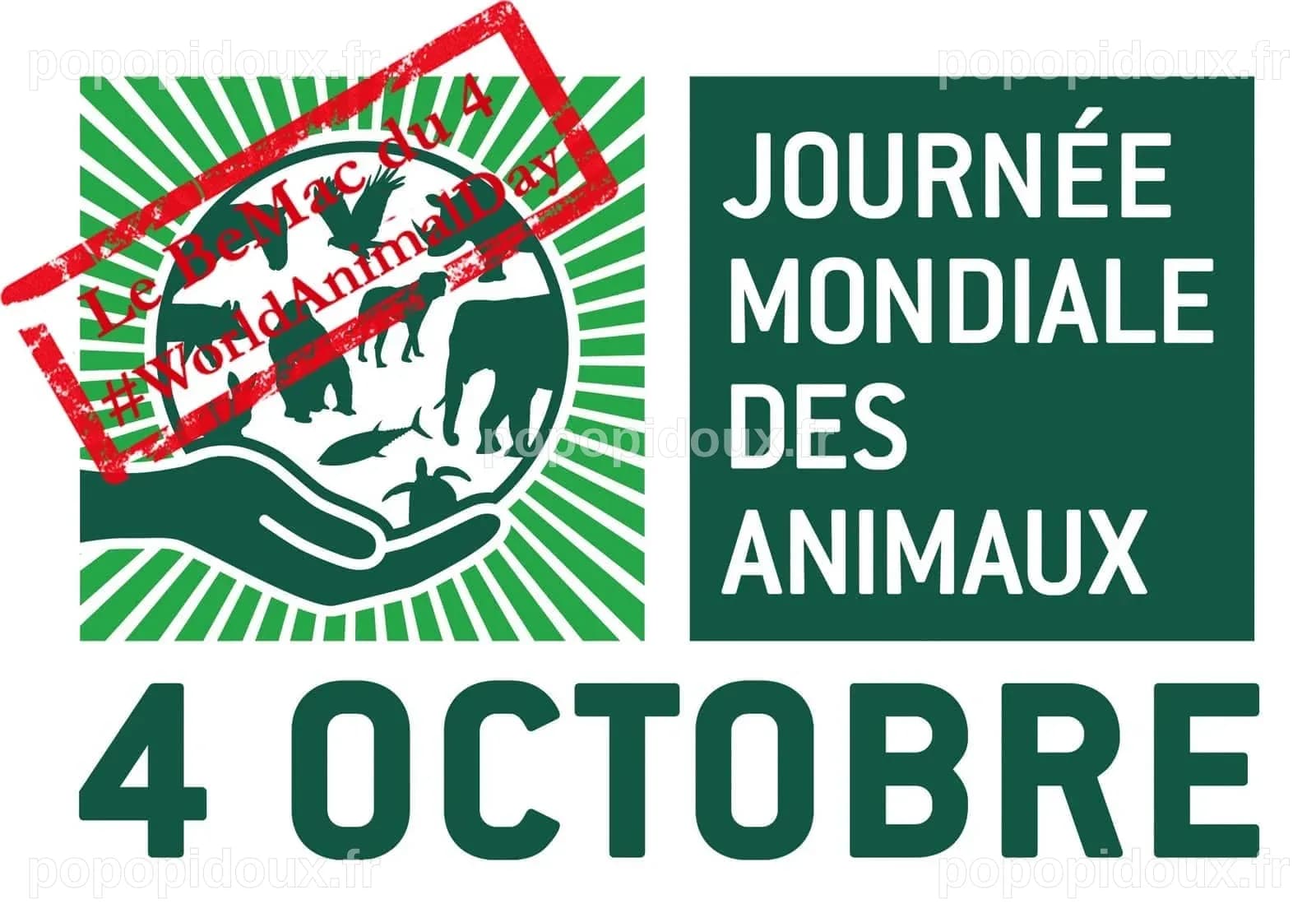 Santé mondiale : Pourquoi la santé humaine dépend-elle des animaux et de notre planète ?