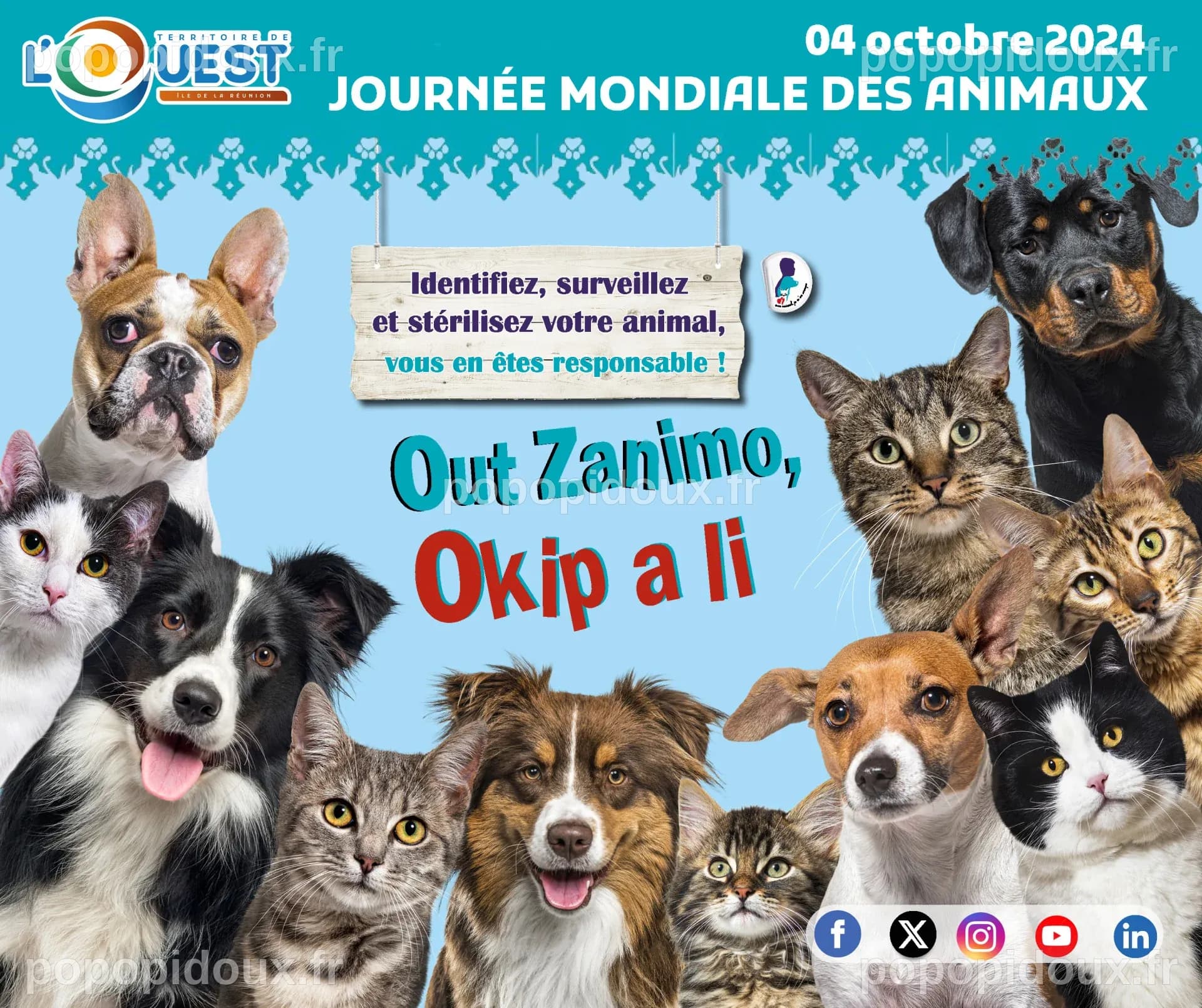 Journée mondiale des animaux 2024 : Ensemble, agissons pour le bien ...