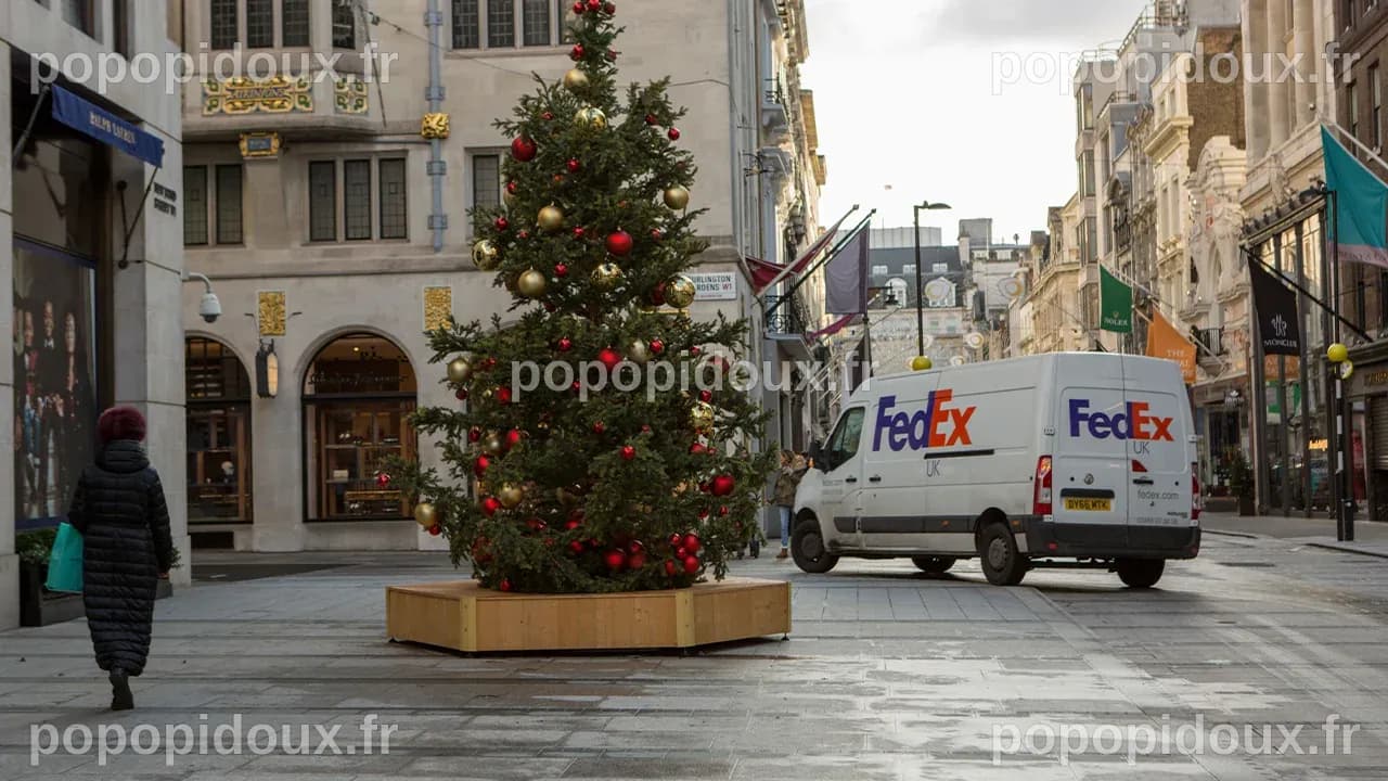 Un ancien chauffeur de FedEx plaide coupable du meurtre d'une fillette de 7 ans après une livraison au Texas