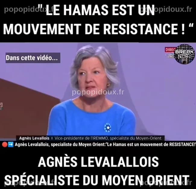 Agnès Levallois, spécialiste du Moyen-Orient : « Le Hamas est un ...