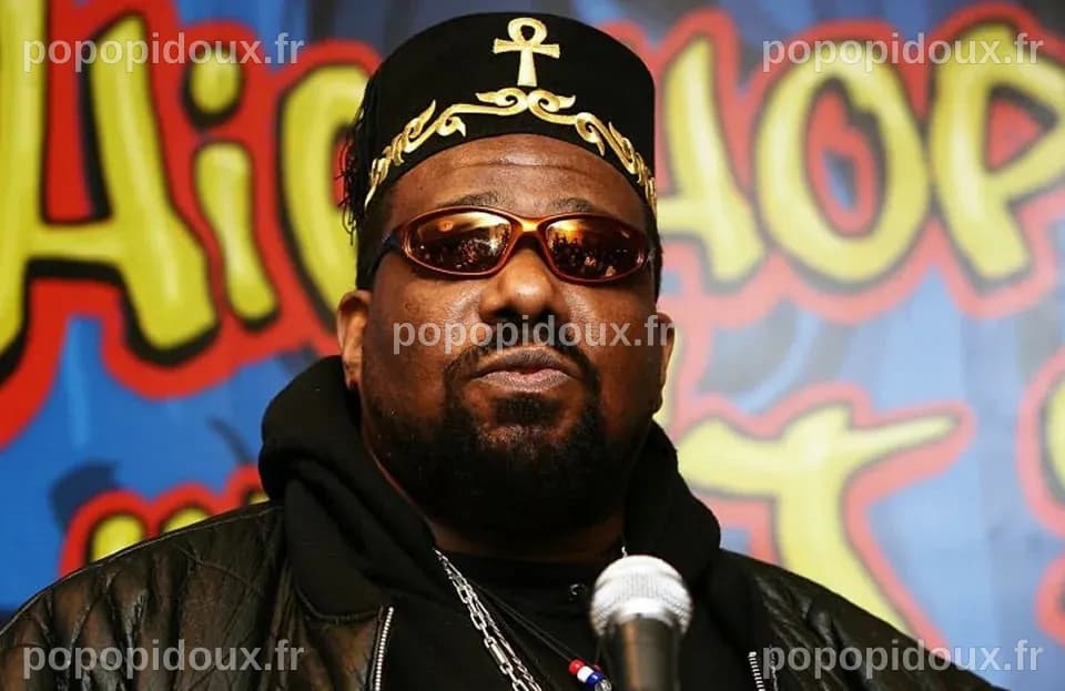 AFRIKA BAMBAATAA - TOP 80 RADIO - Le meilleur des années 70s, 80s et 90s
