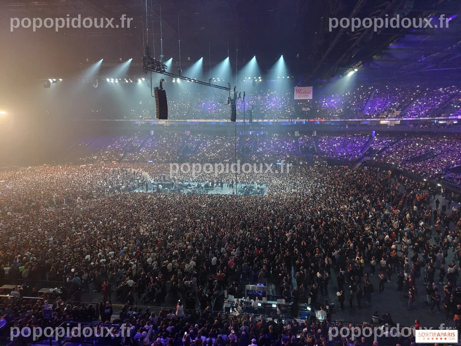 Bad Bunny à La Défense Arena : Live Nation s'empare-t-il du marché des concerts en France ?