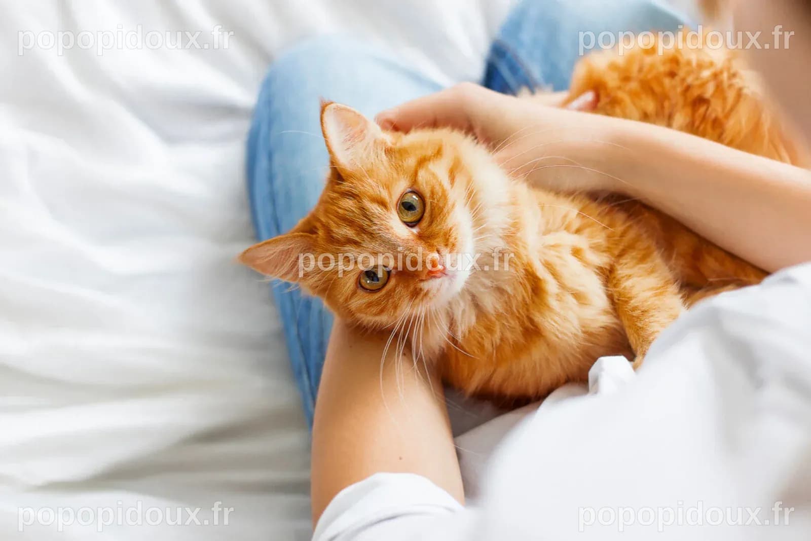 Voici la technique validée par la science pour appeler votre chat
