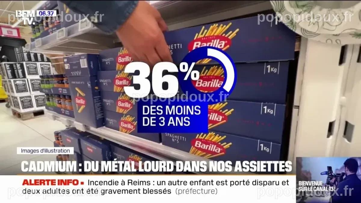 Pain, pâtes, céréales... tous ces aliments contiennent du cadmium, un ...