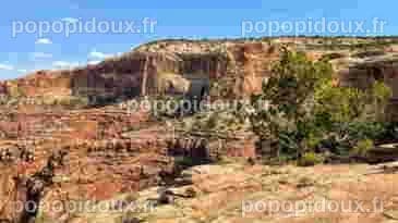 Découverte d'un mammifère vieux de 66 millions d'années baptisé d'après ...