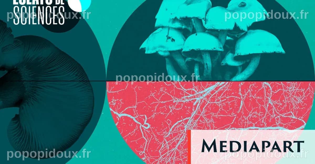 Des chercheurs mobilisés pour sauver les châtaigniers menacés par des maladies dévastatrices
