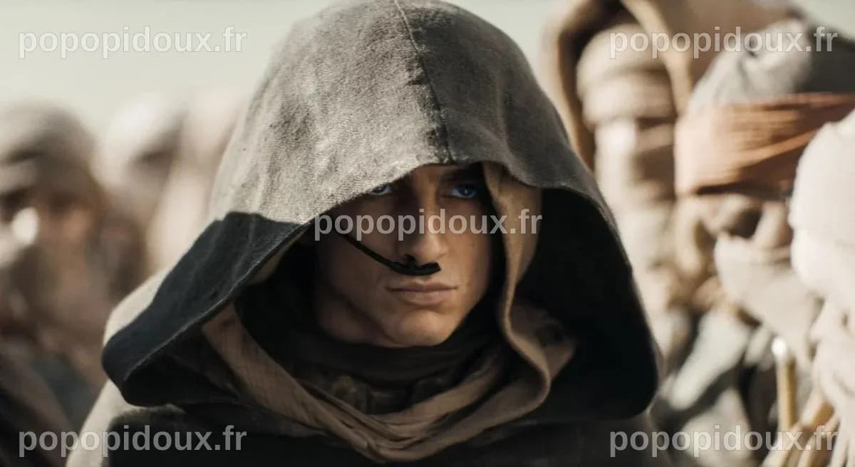 Dune Deuxième Partie : sortie, histoire, casting, bandes-annonces ...