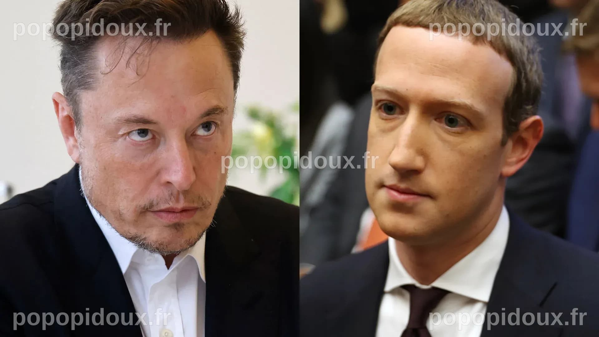 Elon Musk et Mark Zuckerberg : Pourquoi leurs achats de propriétés de plusieurs millions de dollars par le biais de prêts hypothécaires sont une décision financière astucieuse