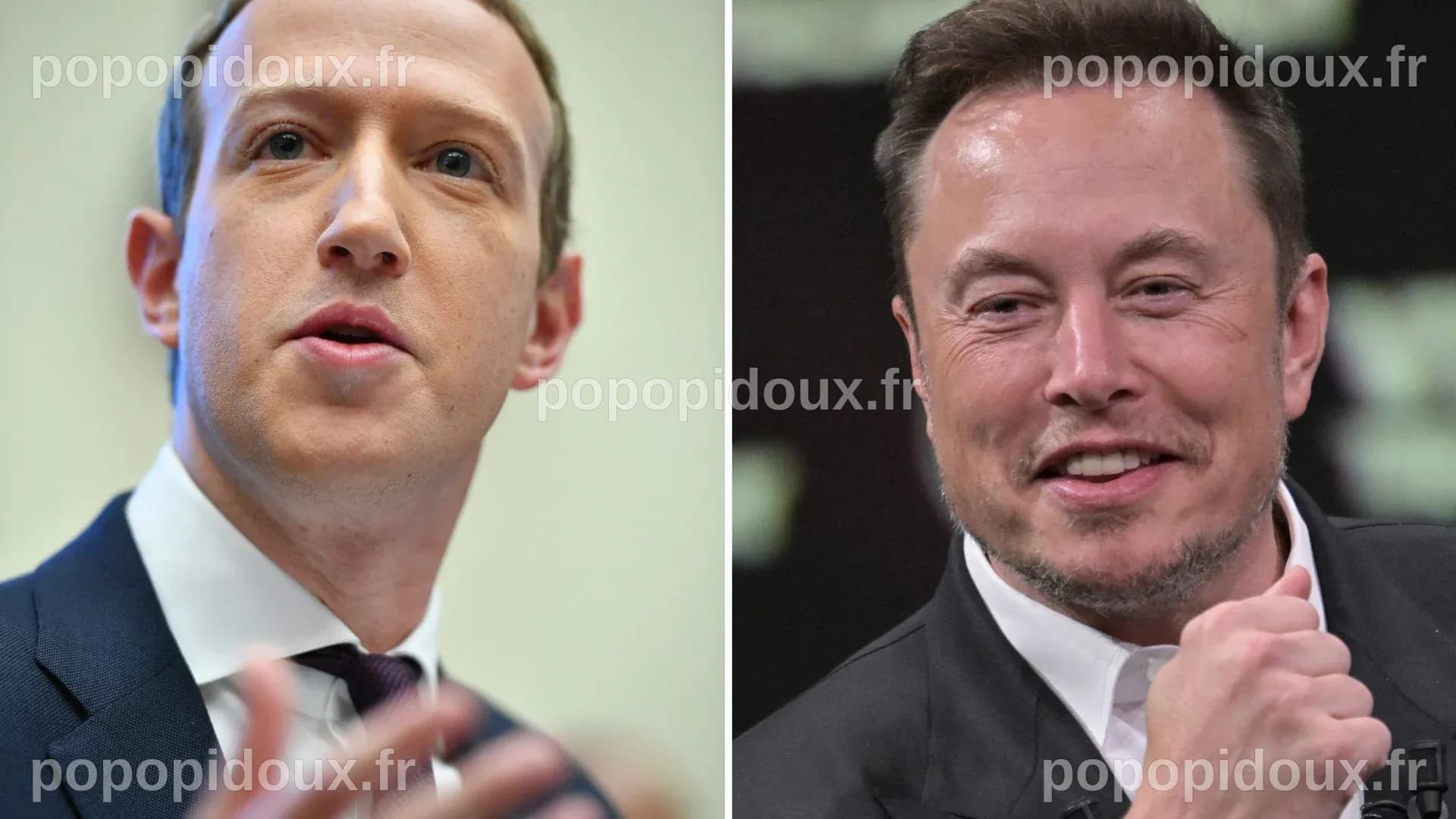 Mark Zuckerberg vs. Elon Musk: Mögliches Datum und Streaming-Plattform ...
